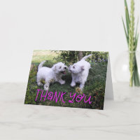 Playing Westie Puppies Photo Thank You Card