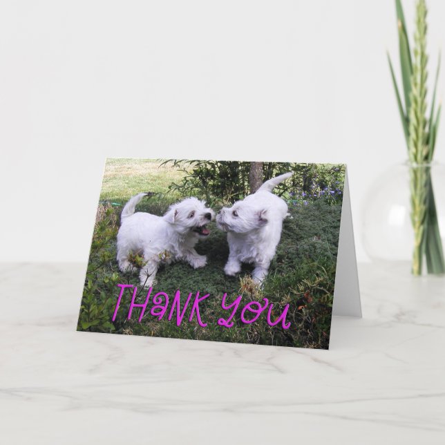 Playing Westie Puppies Photo Thank You Card (Front)