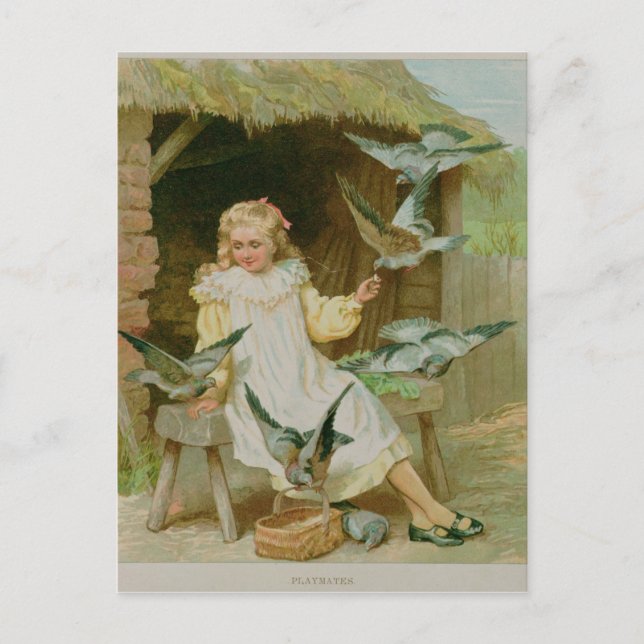 Playmates Postcard (Front)