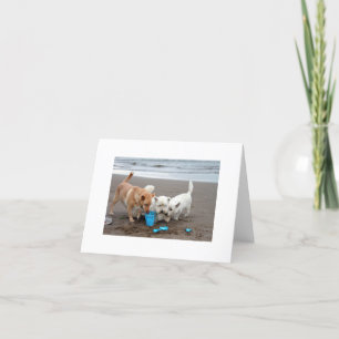 Playtime on the Beach Card