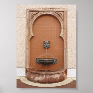 Plaza Cat Fountain Poster
