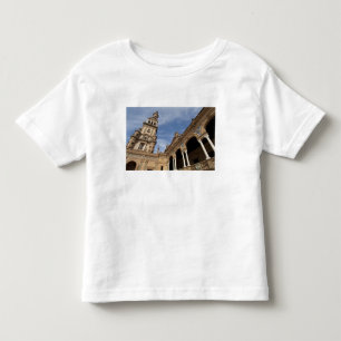 Plaza de Espana, Seville, Andalusia, Spain Toddler T-Shirt