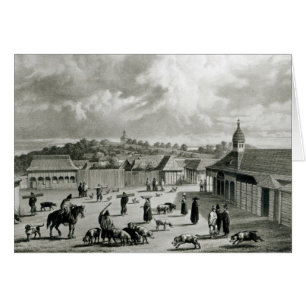Plaza de San-Carlos de Chiloe, 1835  ]