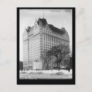 Plaza Hotel, New York City Vintage Postcard