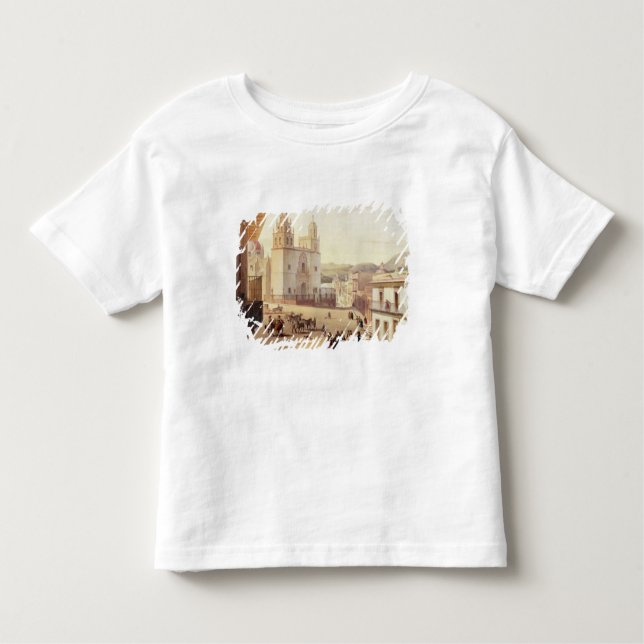 Plaza Mayor de Guonajuato Toddler T-Shirt (Front)