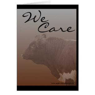 PLB--customise-any occasion