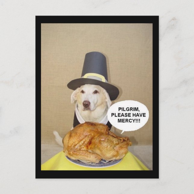 PLEADING TURKEY POSTCARD (Front)