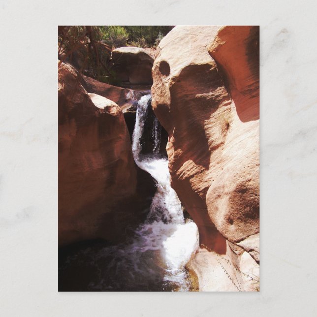 Pleasant Creek Falls, Utah Postcard (Front)