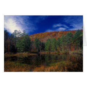 Pleasant Valley Wildlife Sanctuary Pike's Pond