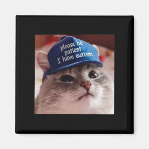 Please Be Patient I Have Autism Cat Funny  Magnet