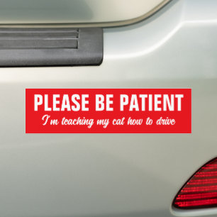 Please Be Patient,I'm Teaching My Cat How to Drive Bumper Sticker