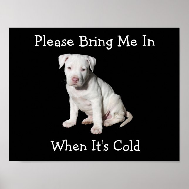 Please Bring Me In, When It's Cold Canine Poster (Front)