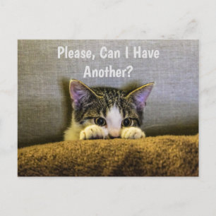 Please Can I Have Another?  Funny Kitten Postcard