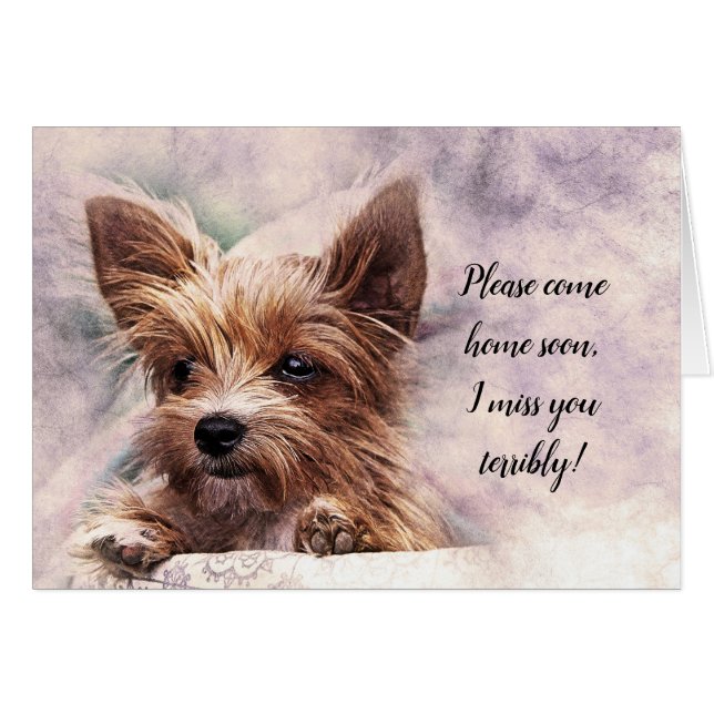 Please Come Home Soon I Miss You Terribly (Front Horizontal)