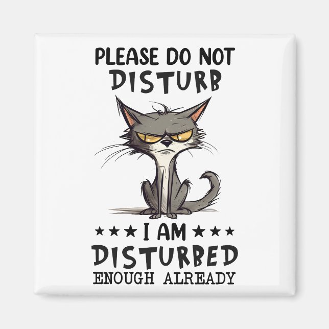 Please Do Not Disturb Sarcasm Funny Refrigerator  Magnet (Front)
