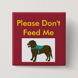 Please Dont Feed Me SD 15 Cm Square Badge
