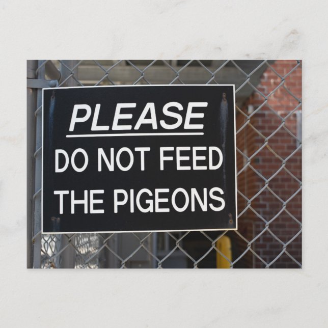 Please Don't Feed the Pigeons New York City NYC Postcard (Front)