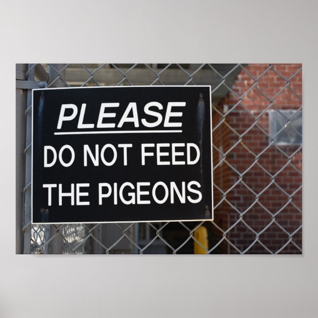 Please Don't Feed the Pigeons New York City NYC Poster (Front)