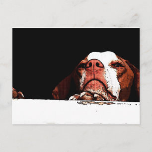 Please Don't Go Postcard
