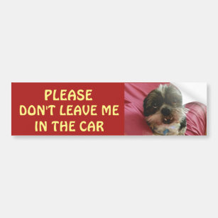 Please Don't Leave Dogs in A Hot Car Bumper Sticker