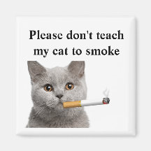 Please don't teach my cat to smoke