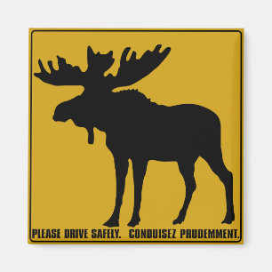 Please Drive Safely,  Traffic Sign, Canada Magnet