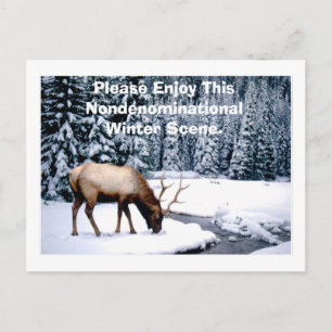 Please Enjoy This Nondenominational Winter Scene. Postcard