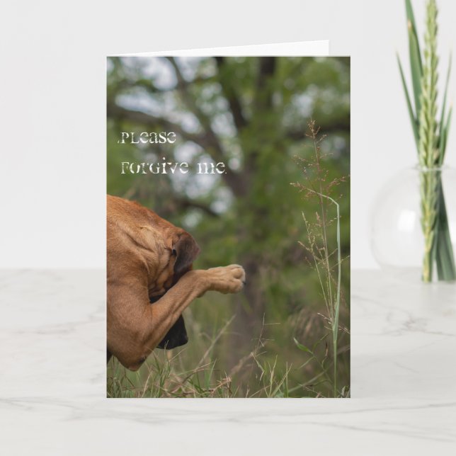 Please forgive me card (Front)