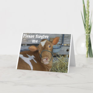 "PLEASE" FORGIVE ME FOR FORGETTING YOUR BIRTHDAY CARD