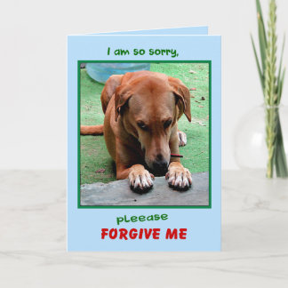 "Please Forgive Me" greeting card