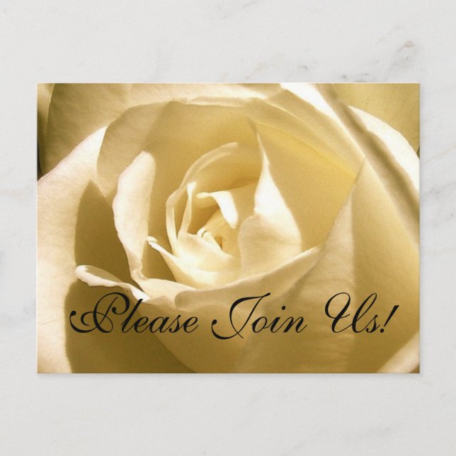 Please Join Us! Invitation Postcard Cream Rose (Front)