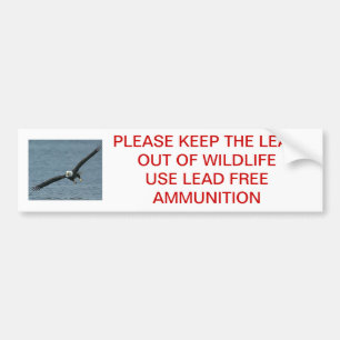 PLEASE KEEP THE LEAD OUT BUMPER STICKER