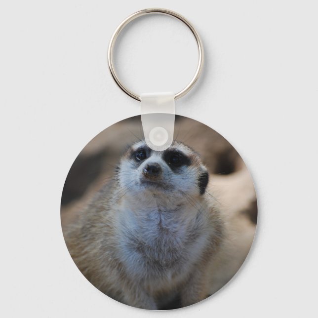 Please? Key Ring (Front)