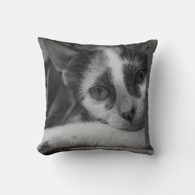 Please Kitty Cushion (Front)