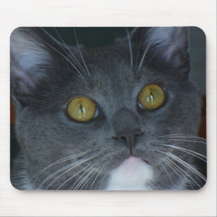 Please Mouse Pad