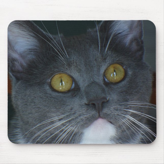 Please Mouse Pad (Front)