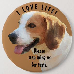 "Please stop using us for tests" Beagle Pin Button