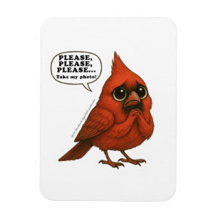 Please Take My Photo Funny Cardinal Bird Magnet