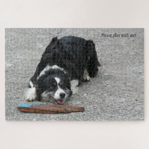 Pleases play with me Border Collie dog personalise Jigsaw Puzzle