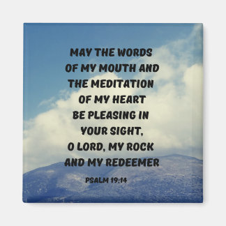 Pleasing In Your Sight O God Psalm 19:14 Christian Magnet