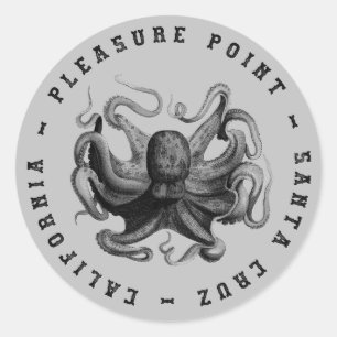 Pleasure Point, Santa Cruz Octopus Classic Round Sticker