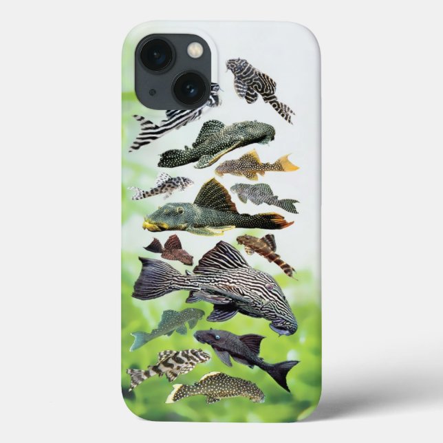 Pleco Case-Mate iPhone Case (Back)