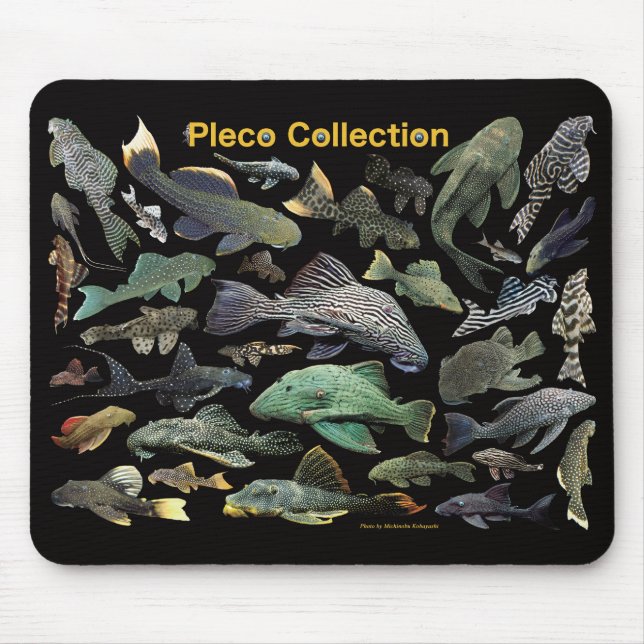 Pleco collection mouse pad (Front)