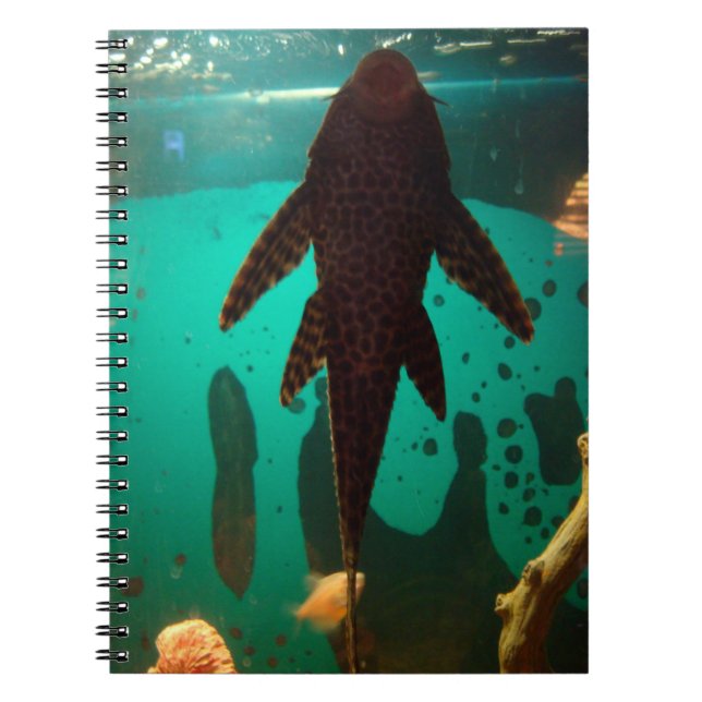 Pleco Notebook (Front)