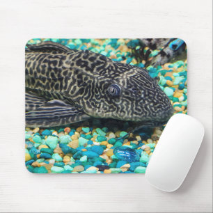 Plecostomus On Gravel Mouse Pad