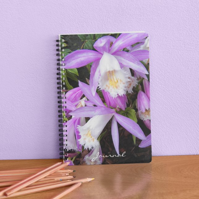 Pleione Windowsill Orchids Floral Notebook (In Situ)