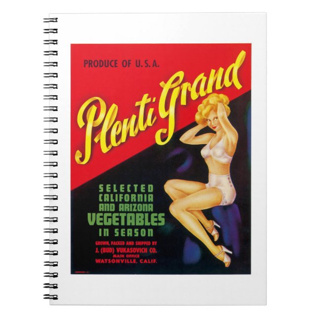 Plenti Grand Notebook (Front)