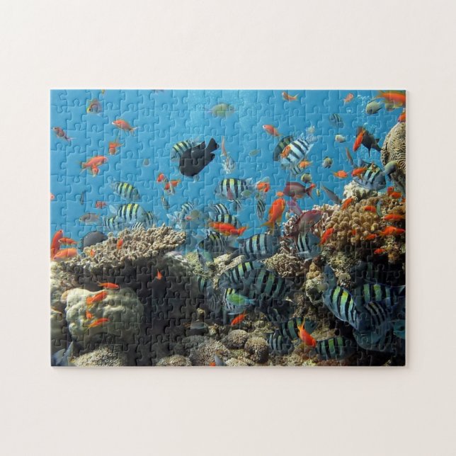 Plenty of Fish and Coral Jigsaw Puzzle (Horizontal)