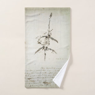Plesiosaurus dolichodeirus hand towel