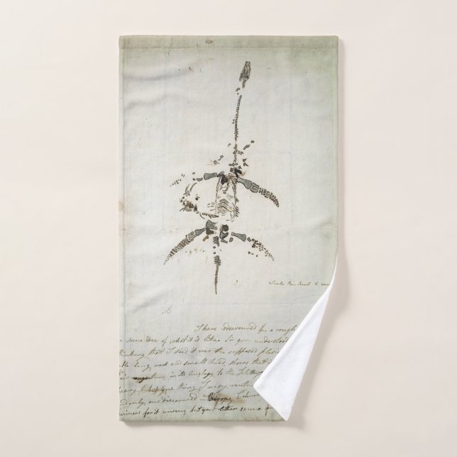 Plesiosaurus dolichodeirus hand towel (Hand Towel)